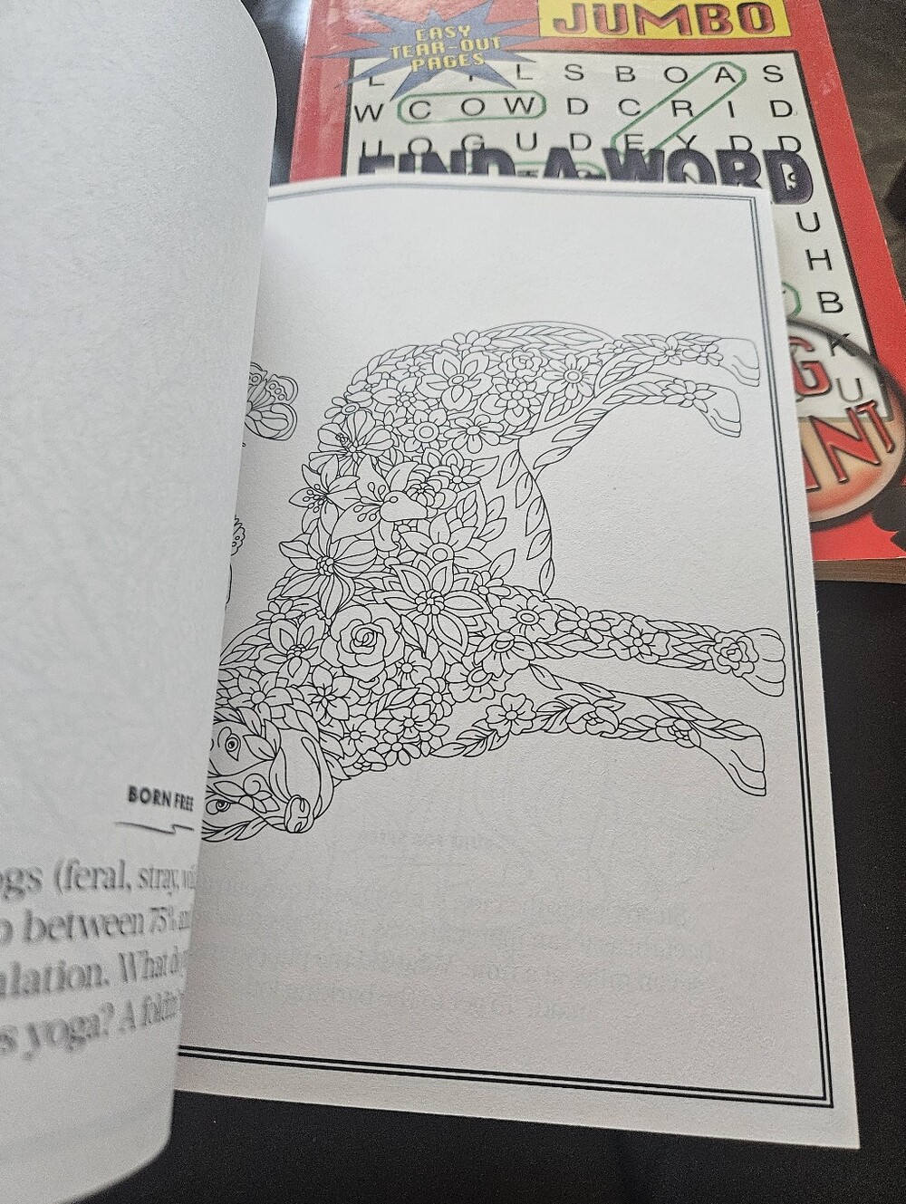 DOG Coloring Book - Multicolor - Picture 6 of 7
